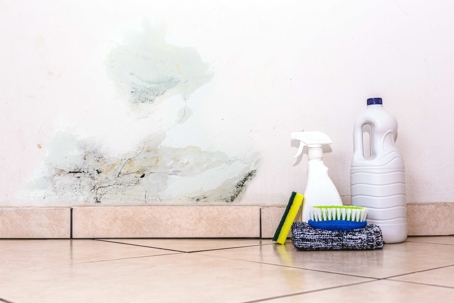 Mold and cleaning supplies