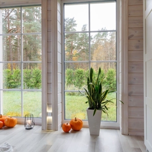 alabama home in the middle of fall