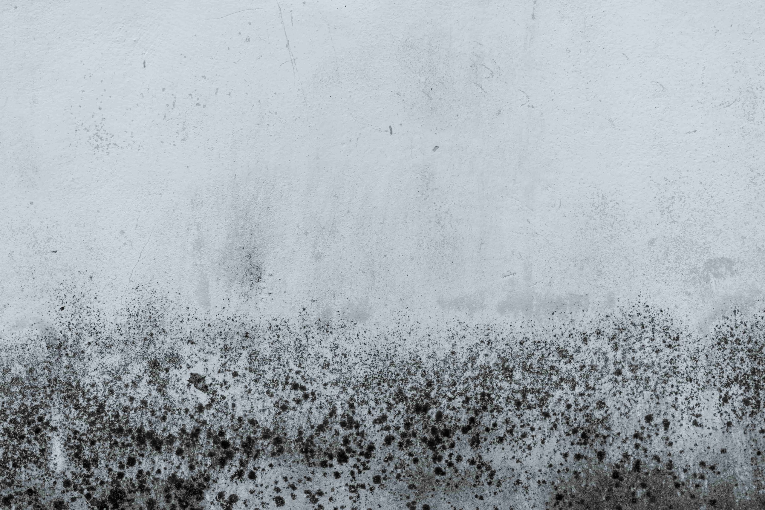 mold from air conditioning growing