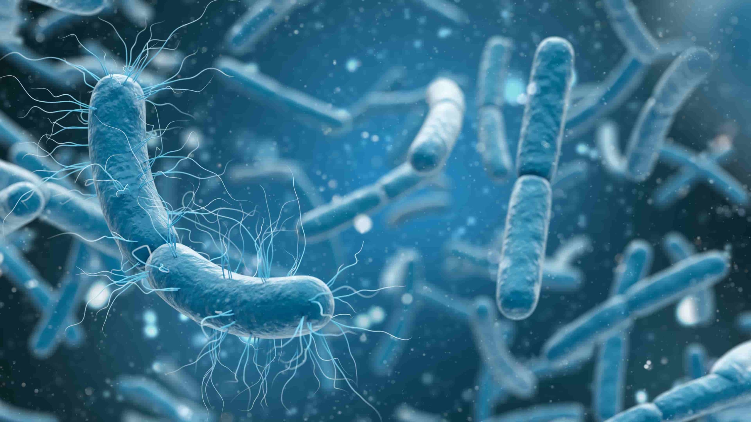bacteria and mold cells