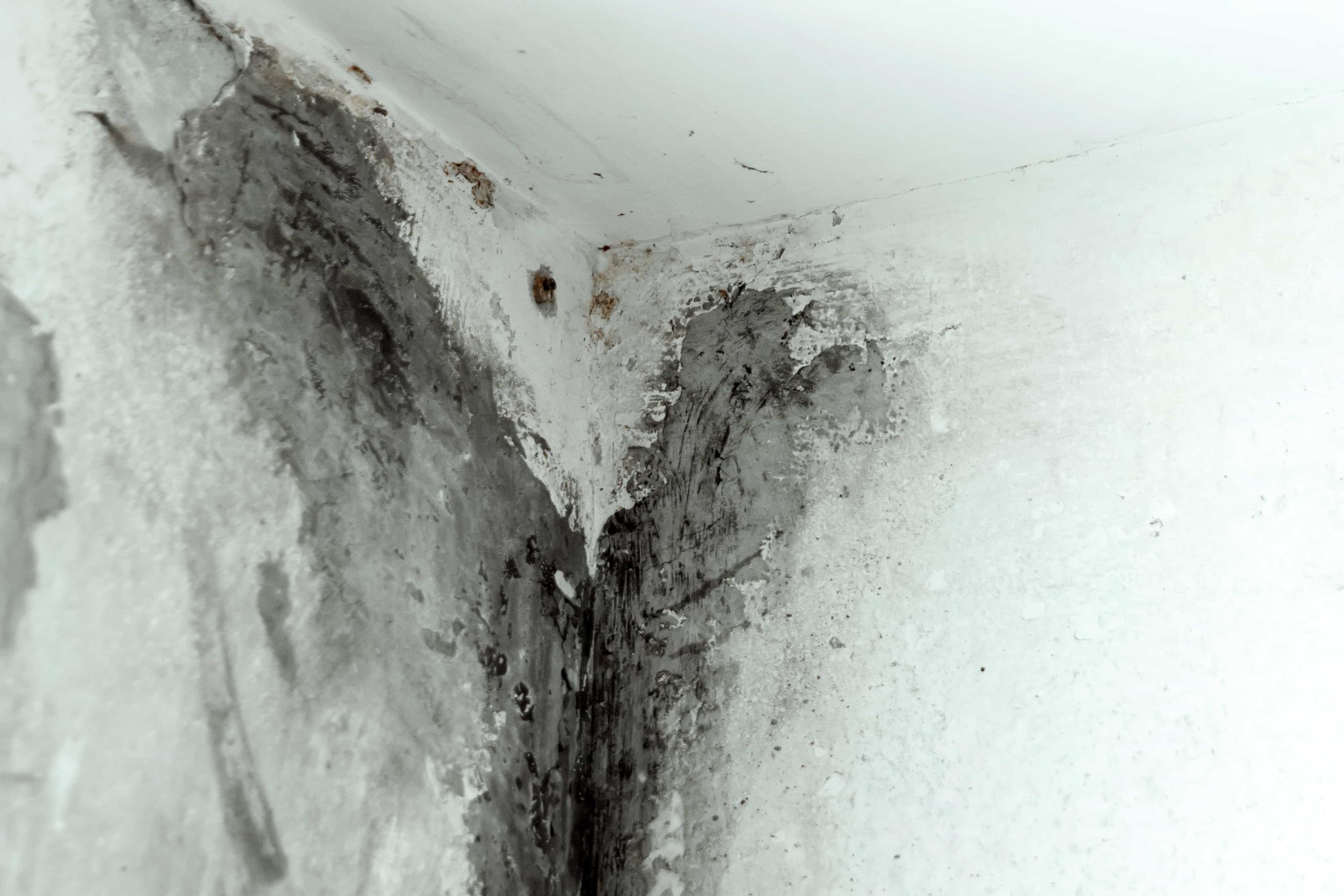 mold from air conditioner