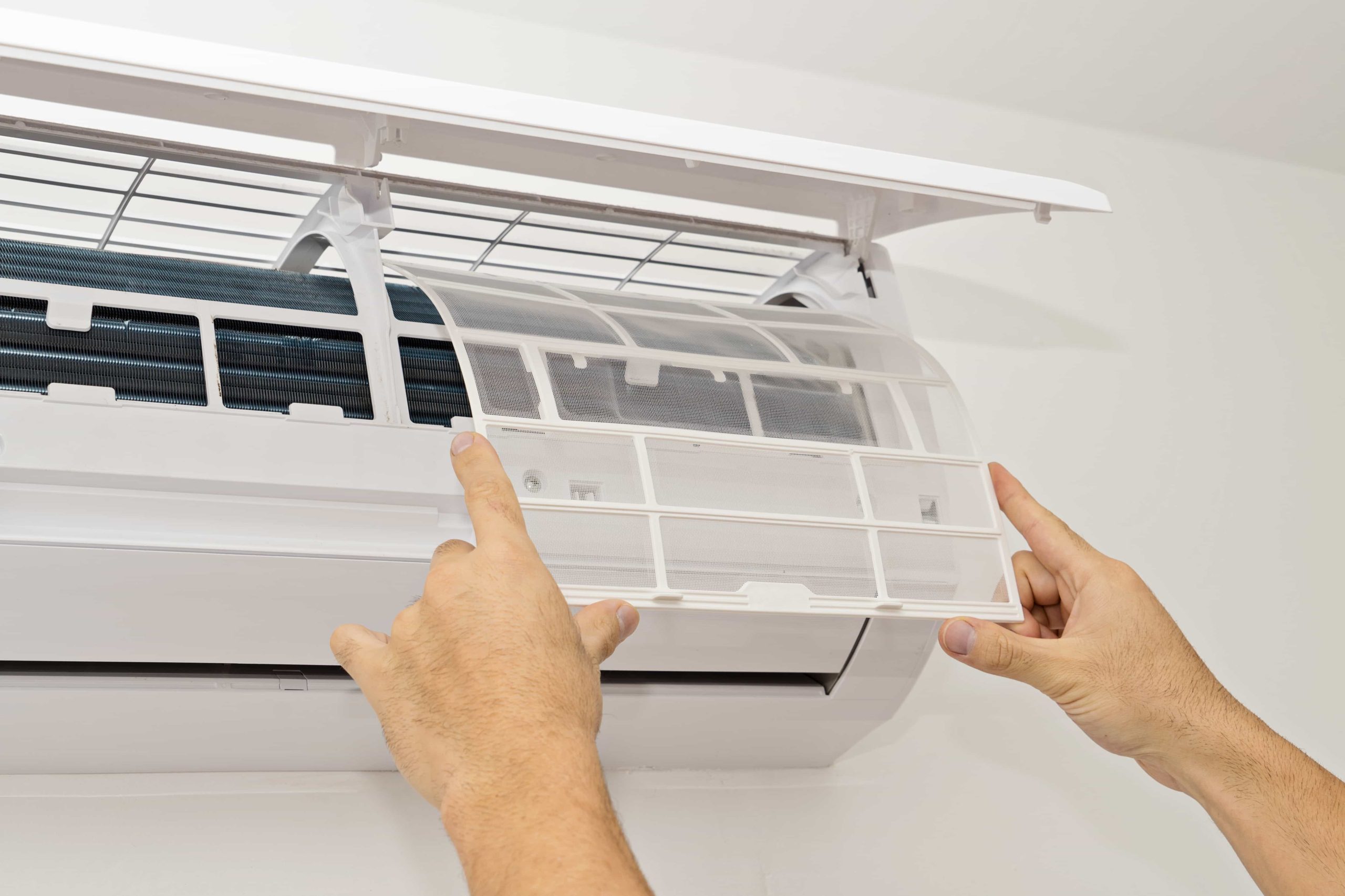 changing filter to prevent mold from growing