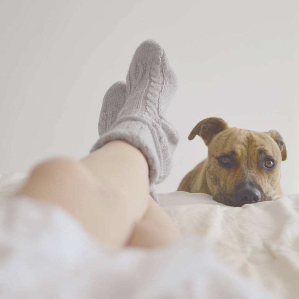 woman and dog warm and cozy in the winter