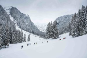 winter and snow