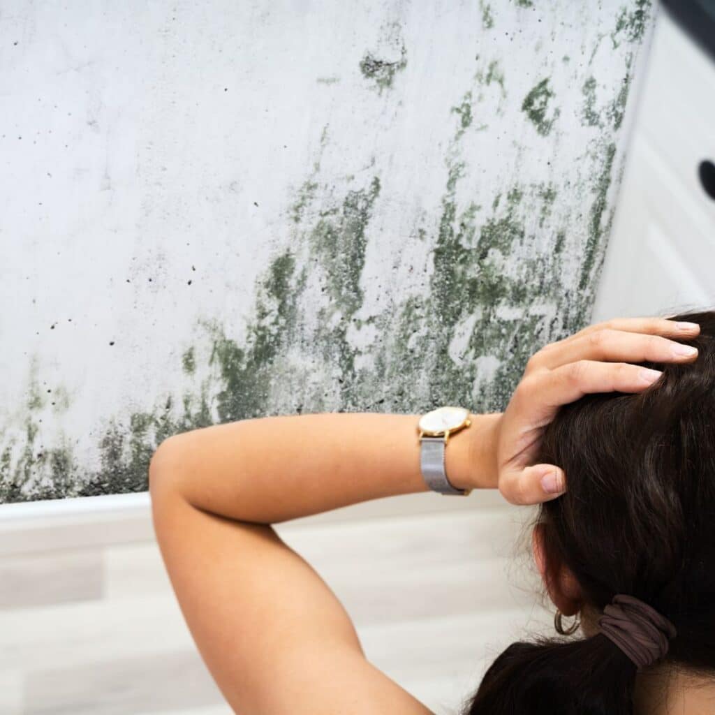 mold growth in a home after rain