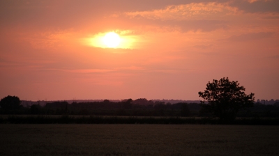 iStock-90637817.2404221254482